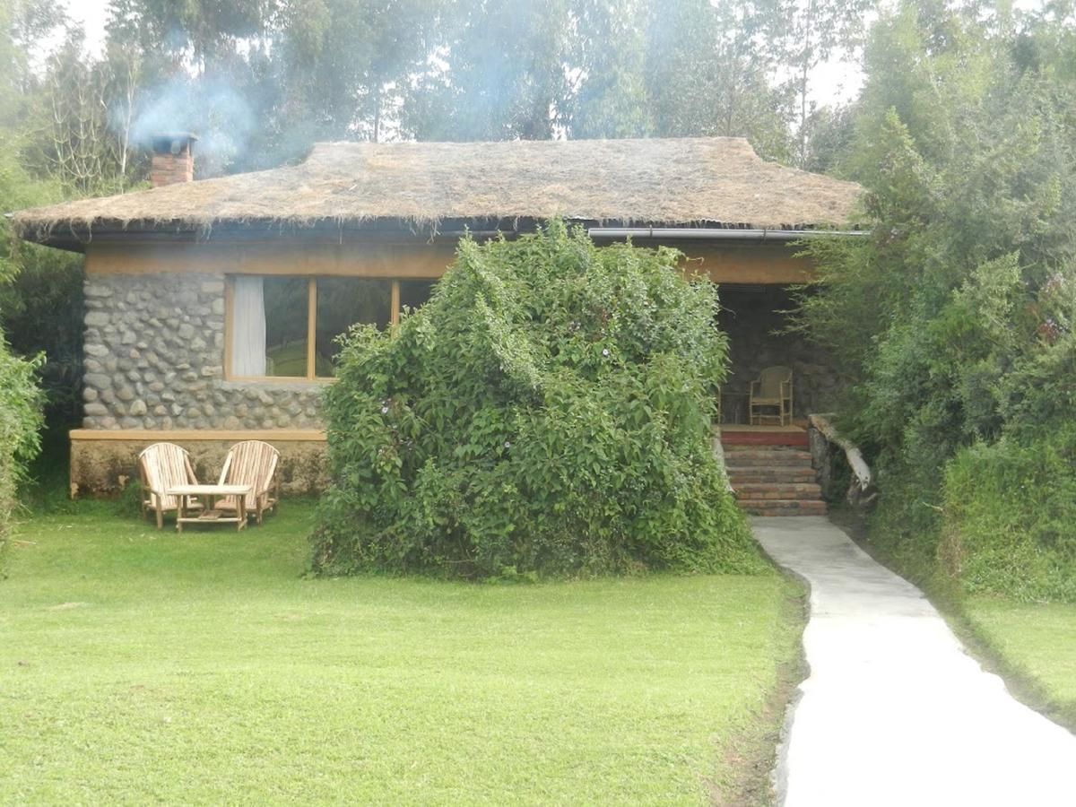 Mountain Gorilla View Lodge Musanze Bagian luar foto